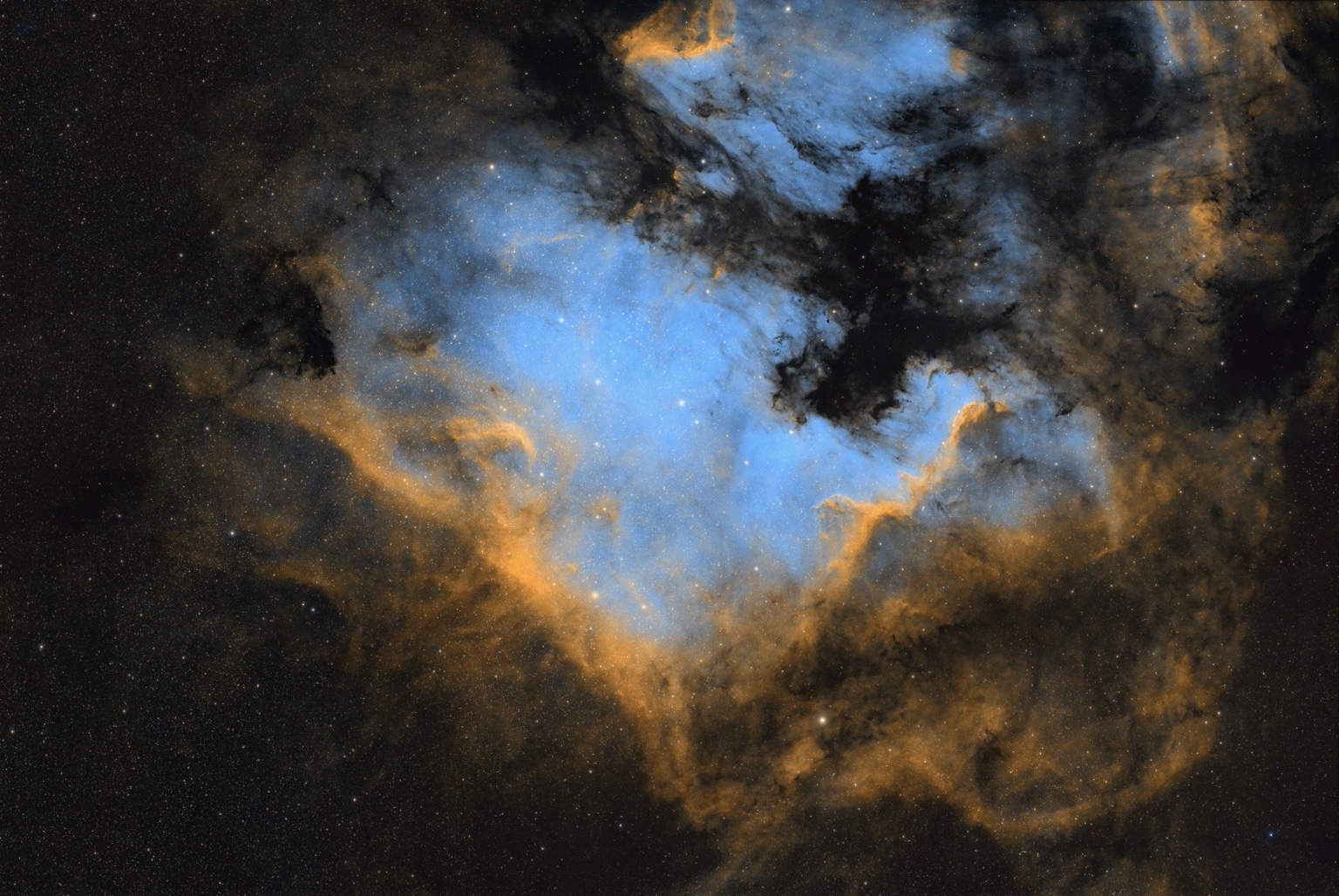 North America Nebula: A bright blue interior meets a sweeping golden edge.